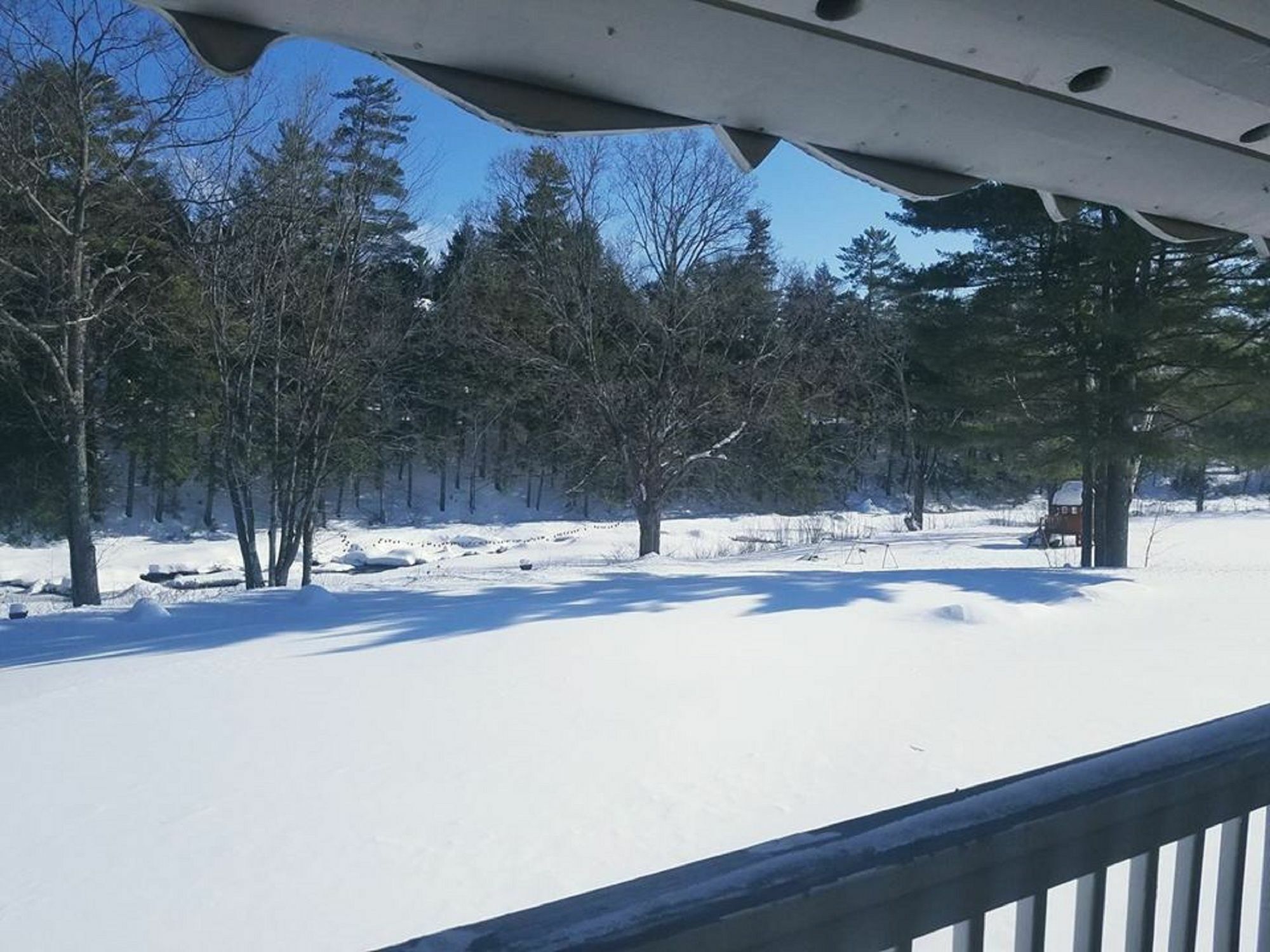 Covered Bridge River View Lodge (Adults Only) Джаксън Екстериор снимка
